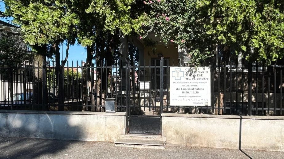 La nascita del Centro Veterinario Milanese | Milano e hinterland