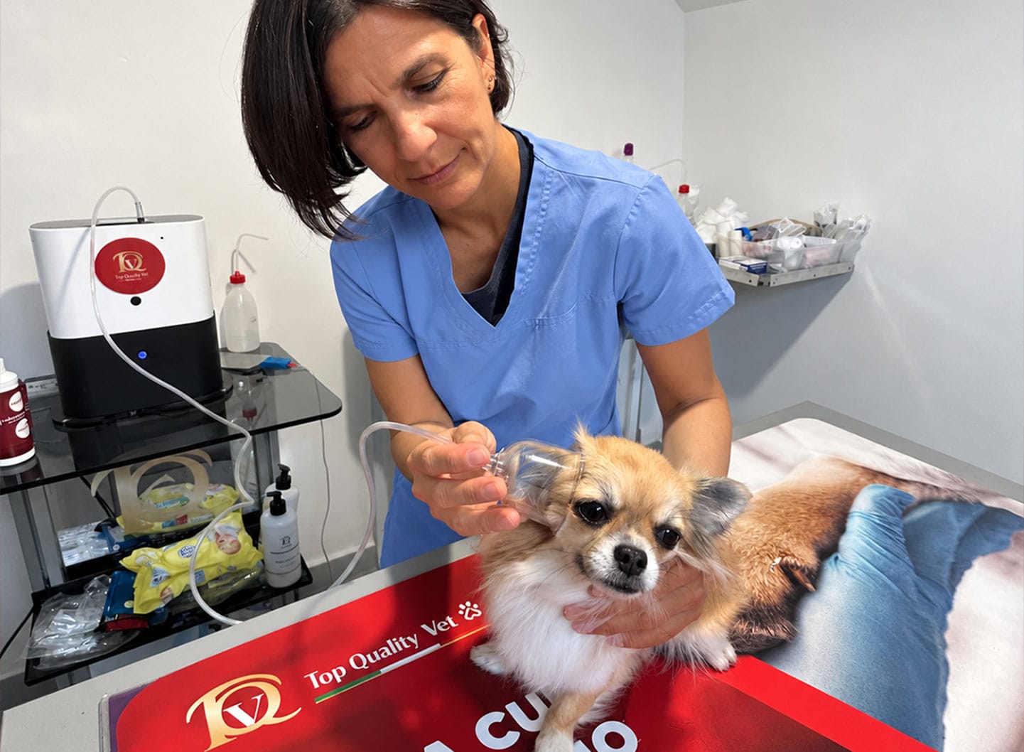 Ozonoterapia Veterinaria per Dermatiti, Otiti e Stomatiti nel Gatto e nel Cane